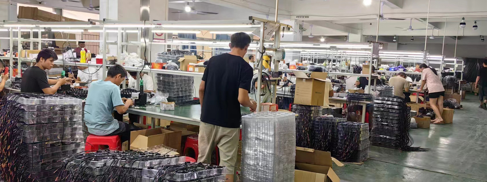 Guangzhou Baobao Lighting Co., Ltd. निर्माता उत्पादन लाइन
